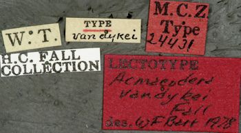 Media type: image;   Entomology 24431 Aspect: labels